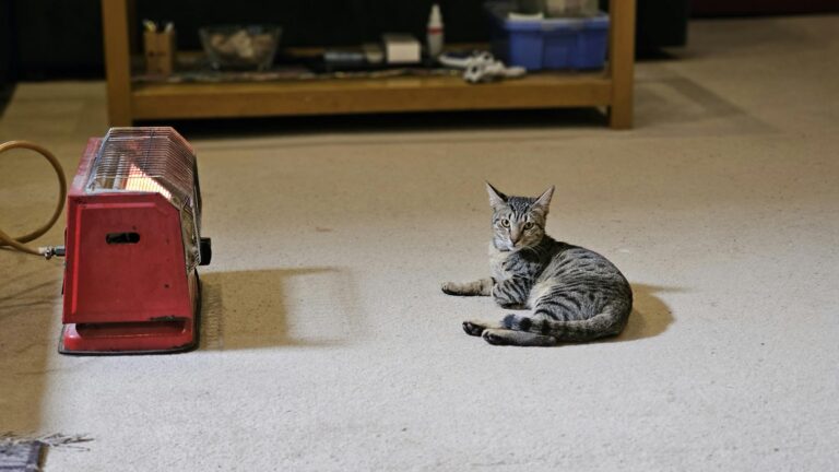 Wallbox Heizung Kosten: Effiziente Optimierung des Energieverbrauchs im Haushalt