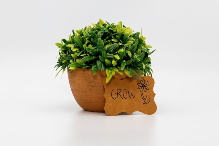 Tipps zur erfolgreichen Integration von Growbox in deine Wallbox-Anlage Growbox sicher und effizient in moderne Wallbox-Anlage integrieren und steuern
