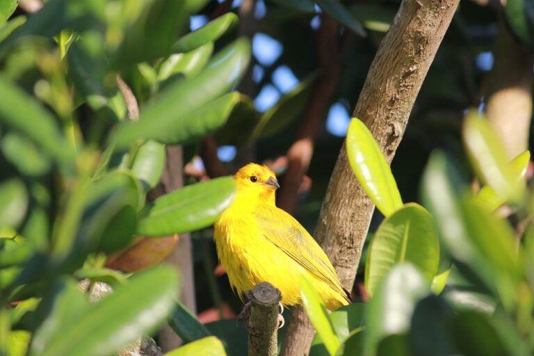 Moderne Zaptec Go 2 Wallbox mit 22 kW Ladeleistung und smarter Steuerung